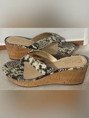 Circus by Sam Edelman Raquel Cork Wedge Flip Sandals in Black and Cream
